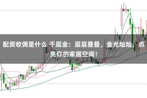 配资收佣是什么 千层金：层层叠叠，金光灿灿，点亮你的家居空间！