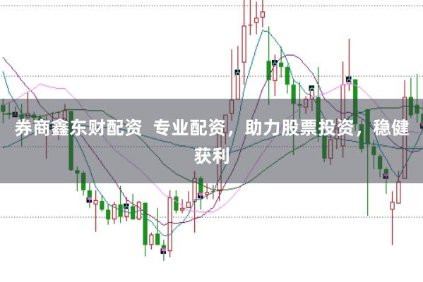 券商鑫东财配资 专业配资,助力股票投资,稳健获利