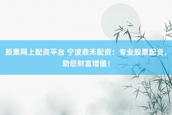 股票网上配资平台 宁波鼎禾配资:专业股票配资,助您财富增值!