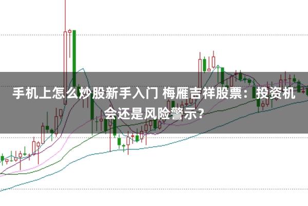 手机上怎么炒股新手入门 梅雁吉祥股票：投资机会还是风险警示？