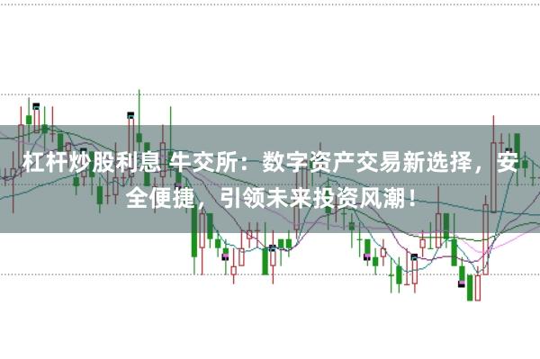 杠杆炒股利息 牛交所:数字资产交易新选择,安全便捷,引领未来投资风潮!