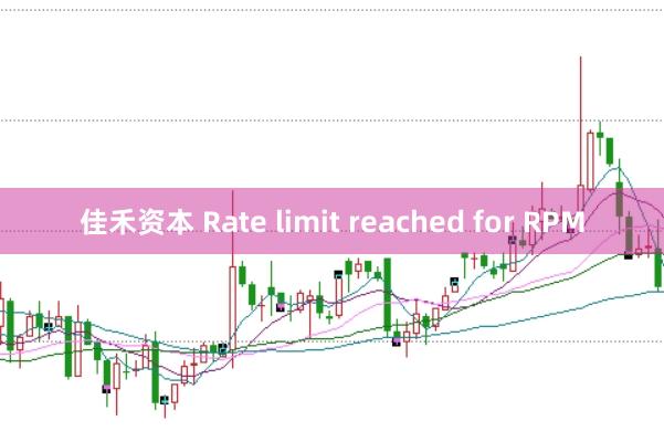 佳禾资本 Rate limit reached for RPM