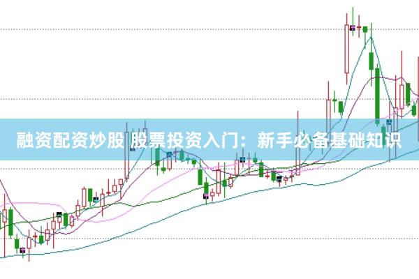 融资配资炒股 股票投资入门:新手必备基础知识