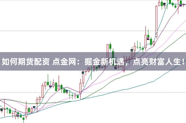 如何期货配资 点金网：掘金新机遇，点亮财富人生！