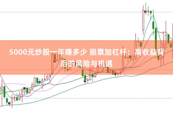 5000元炒股一年赚多少 股票加杠杆：高收益背后的风险与机遇