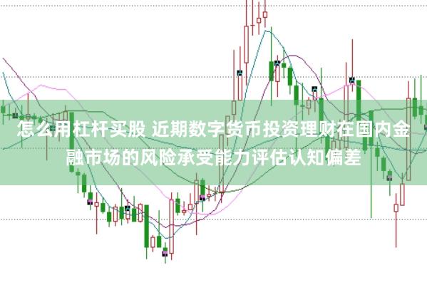 怎么用杠杆买股 近期数字货币投资理财在国内金融市场的风险承受能力评估认知偏差