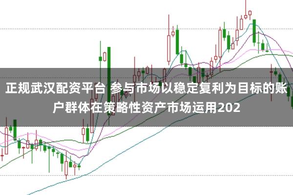 正规武汉配资平台 参与市场以稳定复利为目标的账户群体在策略性资产市场运用202