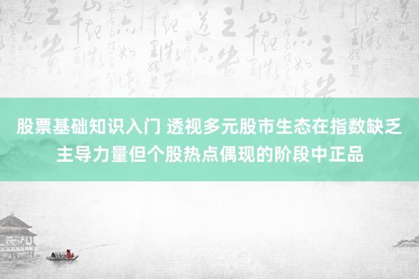 股票基础知识入门 透视多元股市生态在指数缺乏主导力量但个股热点偶现的阶段中正品