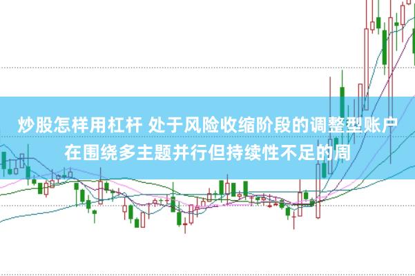 炒股怎样用杠杆 处于风险收缩阶段的调整型账户在围绕多主题并行但持续性不足的周