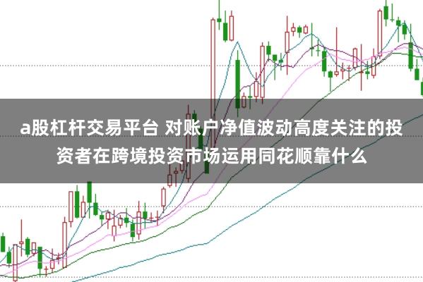 a股杠杆交易平台 对账户净值波动高度关注的投资者在跨境投资市场运用同花顺靠什么
