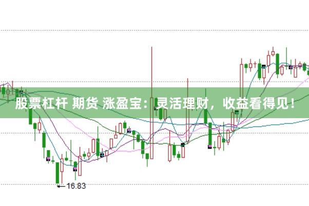 股票杠杆 期货 涨盈宝：灵活理财，收益看得见！