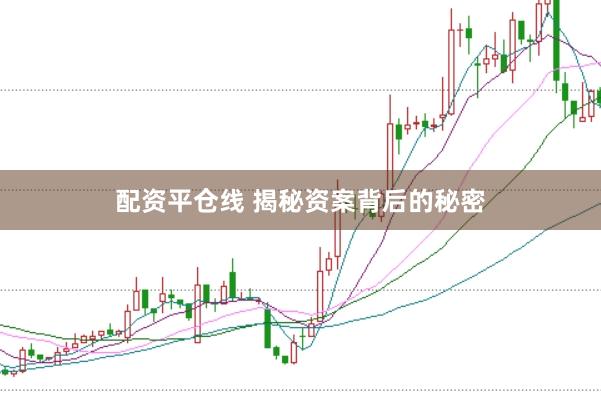 配资平仓线 揭秘资案背后的秘密