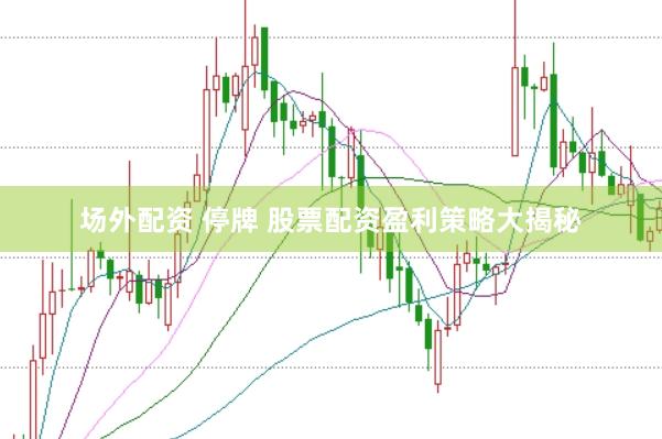场外配资 停牌 股票配资盈利策略大揭秘