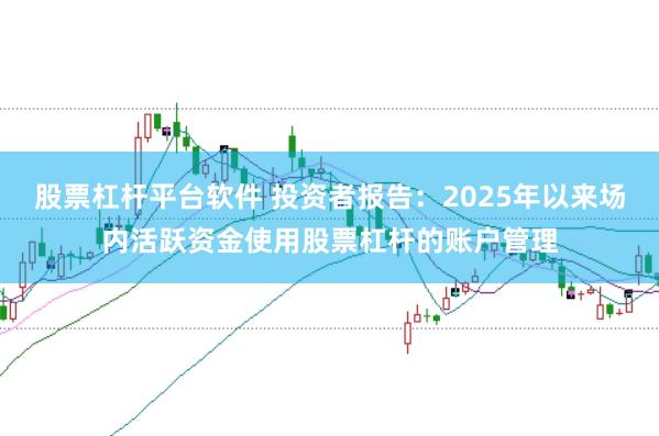 股票杠杆平台软件 投资者报告：2025年以来场内活跃资金使用股票杠杆的账户管理