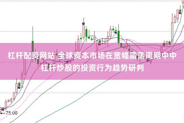 杠杆配资网站 全球资本市场在宽幅震荡周期中中杠杆炒股的投资行为趋势研判