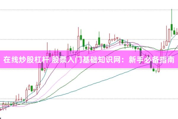 在线炒股杠杆 股票入门基础知识网：新手必备指南